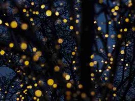 33个关键点91网页版媒体测评终极揭秘