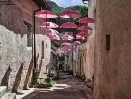 小组赛每日大赛——全景重现精彩首播