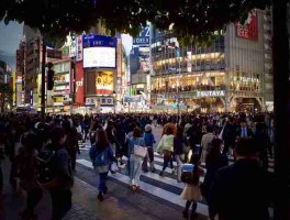2022.11.01速报海角网页版行业观察值得收藏